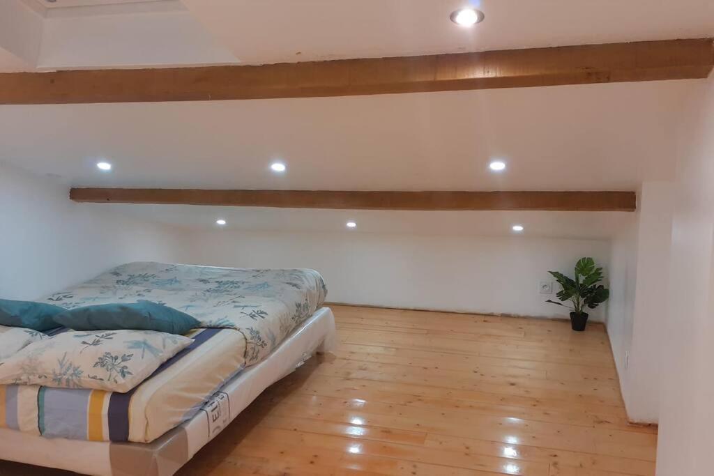 Appartement La Joie Dans Quartier Chic Pibrac Kültér fotó