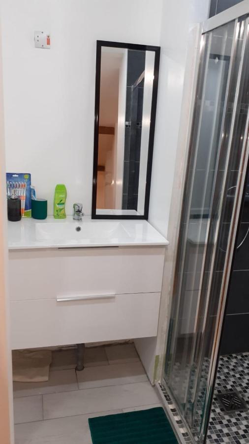 Appartement La Joie Dans Quartier Chic Pibrac Kültér fotó