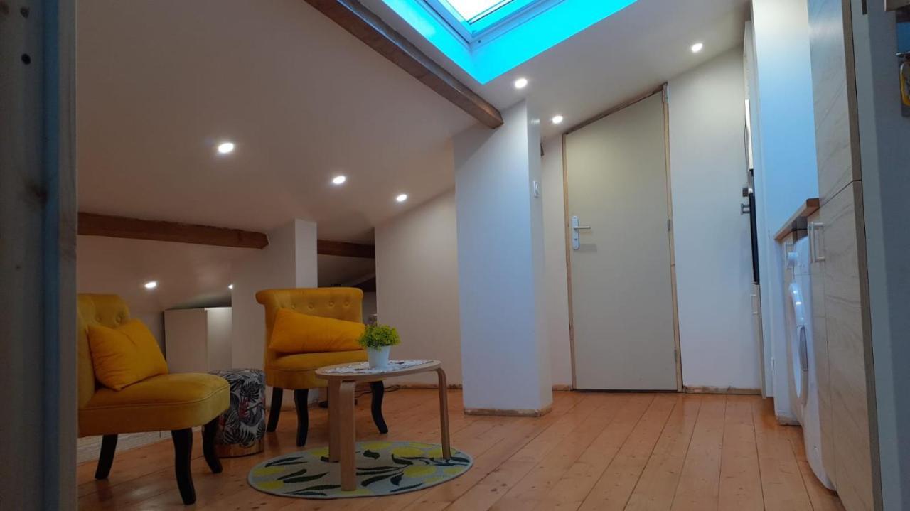 Appartement La Joie Dans Quartier Chic Pibrac Kültér fotó